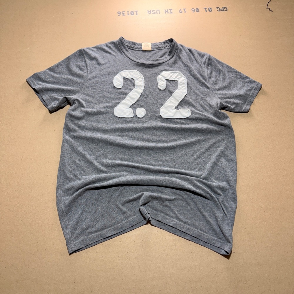 Hollister T-Shirt L Gray Excellent Short Sleeve 22 Graphic Patch Tee